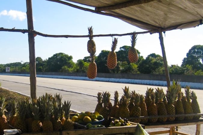 Abacaxis à venda na beira da estrada no Brasil, a caminho de João Pessoa