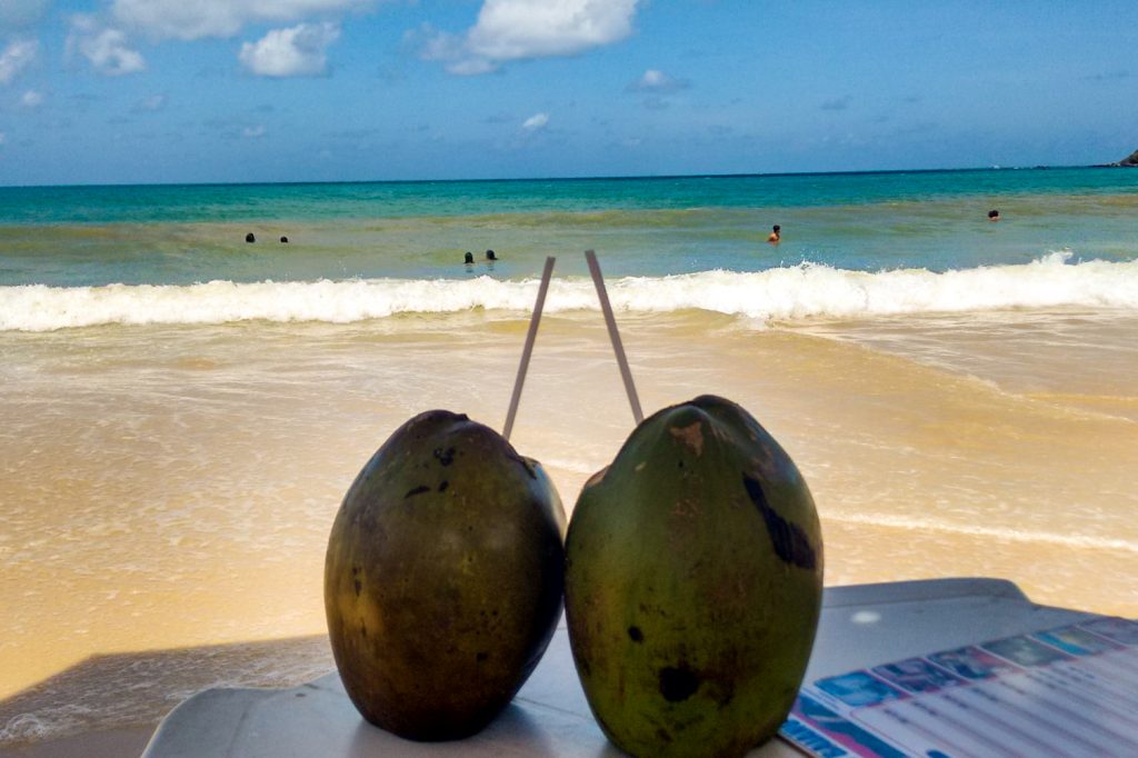 Água de coco - Fruta a experimentar no Brasil